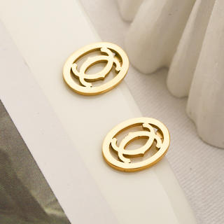 Earrings 305