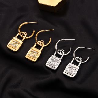 Earrings 315