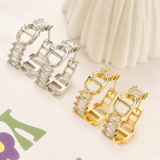 Earrings 348