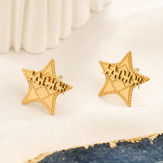 Earrings 389