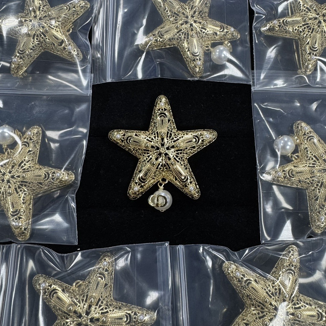 Brooch 8