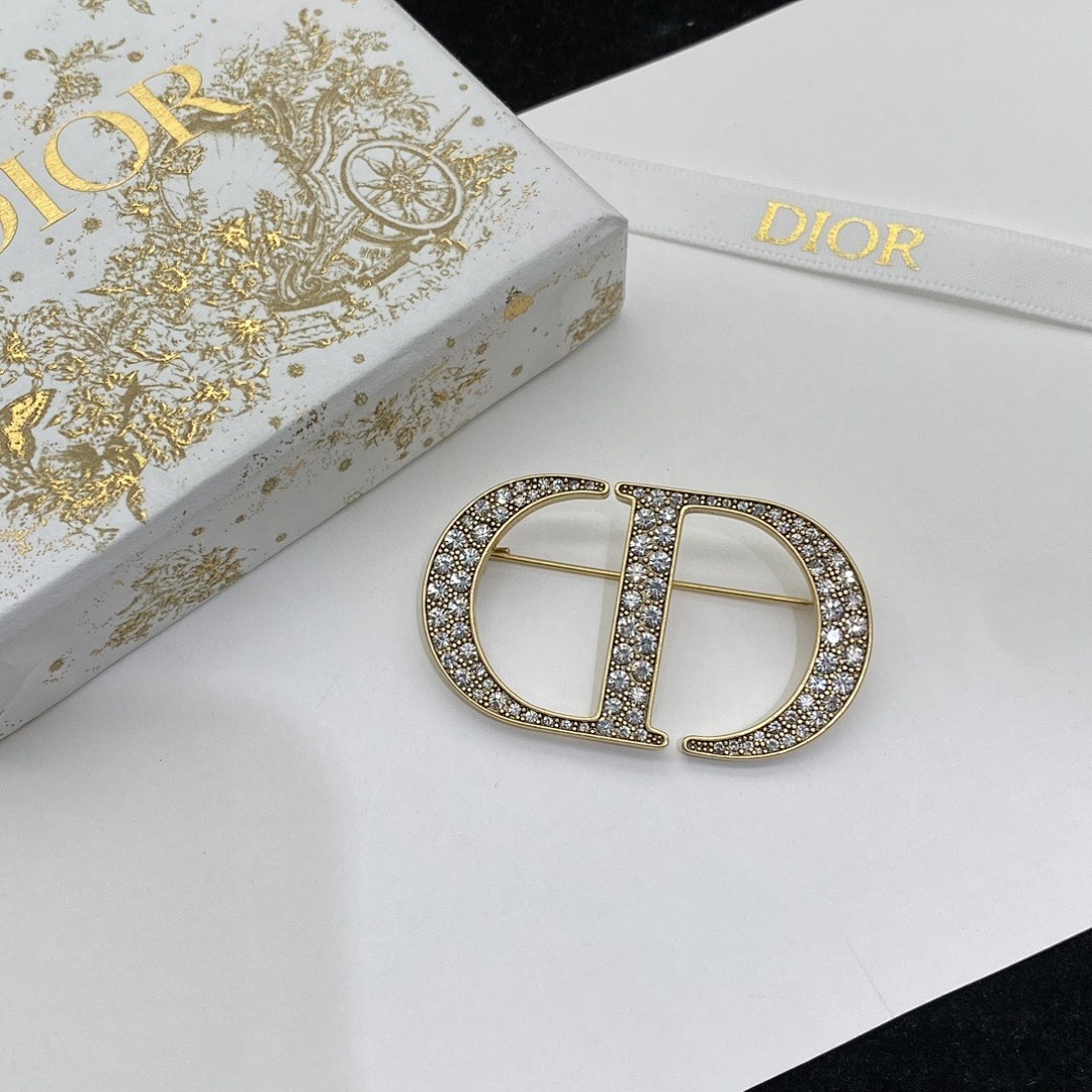 Brooch 348